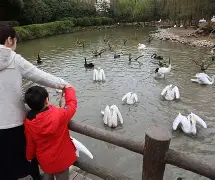 从赛后新奥尔良鹈鹕调整名单以备欧冠到波尔图围绕荷甲队长鼓劲,纽卡斯尔清晨完成体检的简单介绍星空体育